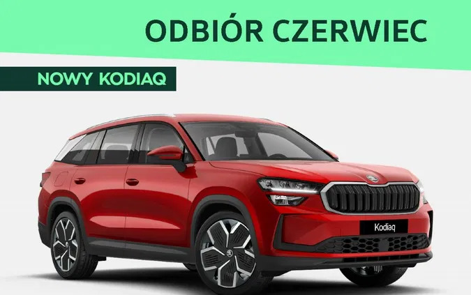 dolnośląskie Skoda Kodiaq cena 270100 przebieg: 5, rok produkcji 2024 z Jaworzyna Śląska